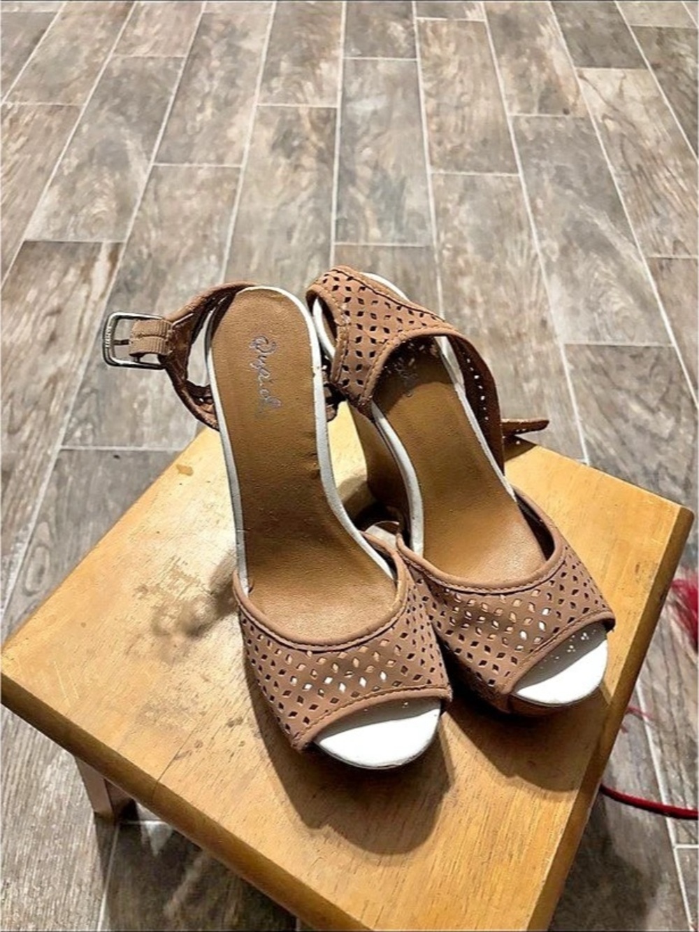 Cupcakes and Cashmere Women's Brown Perforated Heels